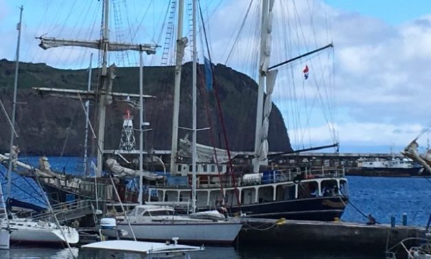 Barche a vela in rada a Marina di Horta, Faial